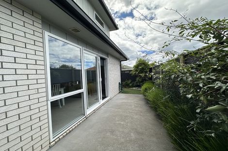 Photo of property in 41a Bayfair Drive, Mount Maunganui, 3116