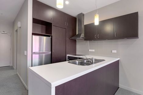 Photo of property in City Lodge, 507/115 Vivian Street, Te Aro, Wellington, 6011