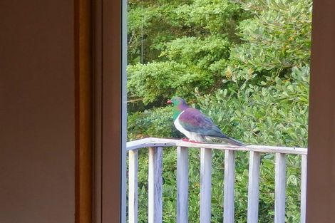 Photo of property in 57 Pinehill Road, Pakaraka, Moerewa, 0472