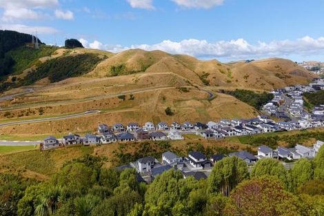 Photo of property in 60 Rochdale Drive, Churton Park, Wellington, 6037