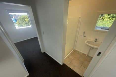 Photo of property in Fernhill Flats, 324u5 The Terrace, Te Aro, Wellington, 6011