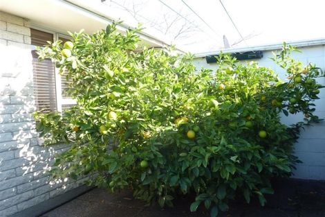 Photo of property in 2/38 Lyndon Street, Riccarton, Christchurch, 8041