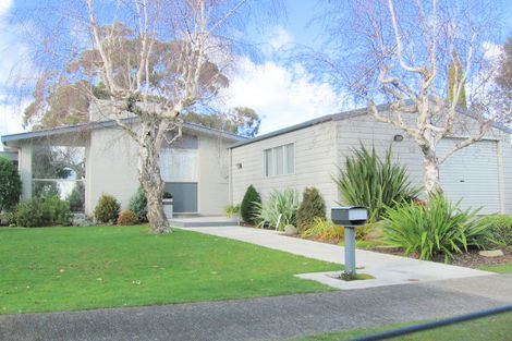 Photo of property in 33 Fairview Avenue, Feilding, 4702