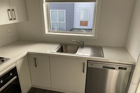 Photo of property in 167u2 Nixon Street, Hamilton East, Hamilton, 3216