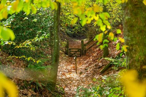 Photo of property in 175 Forest Road, Oruanui, Taupo, 3384