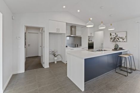 Photo of property in 21 Paton Road, Richmond, 7020