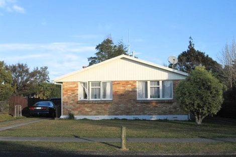 Photo of property in 3 Mcintosh Street, Chartwell, Hamilton, 3210