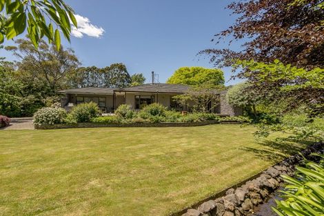 Photo of property in 245 Prestons Road, Marshland, Christchurch, 8051