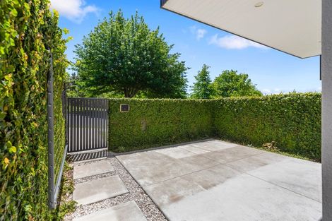 Photo of property in 11/12 Westmorland Rise, Bethlehem, Tauranga, 3110