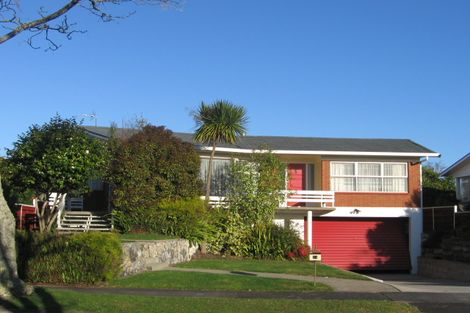 Photo of property in 14 Egmont Street, Chartwell, Hamilton, 3210