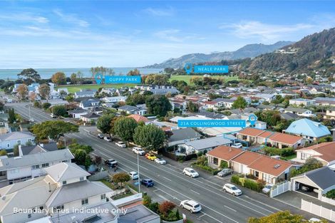 Photo of property in 21a Collingwood Street, The Wood, Nelson, 7010