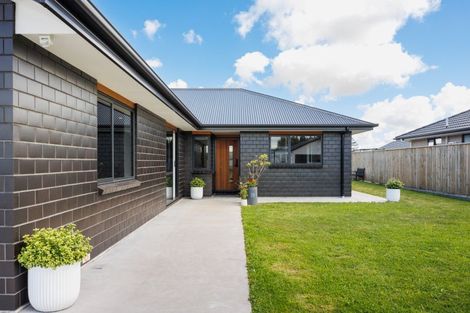 Photo of property in 43 Accolade Street, Feilding, 4702