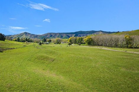 Photo of property in 170 Glenrae Road, Tapawera, Wakefield, 7096