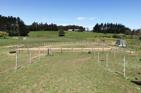 Photo of property in 31 Colombo Road, Waiuku, 2123
