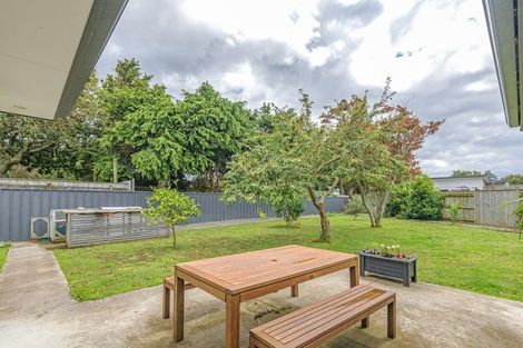 Photo of property in 153 Stanford Street North, Ashhurst, 4810