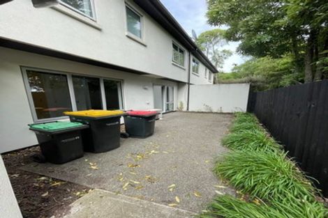 Photo of property in 47a Burlington Street, Sydenham, Christchurch, 8023