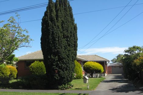 Photo of property in 17 Raleigh Street, Bishopdale, Christchurch, 8053