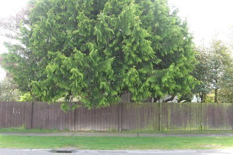 Photo of property in 36 Scannell Street, Taupo, 3330