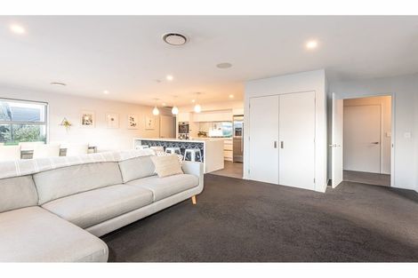 Photo of property in 29 Sunline Avenue, Lincoln, 7608