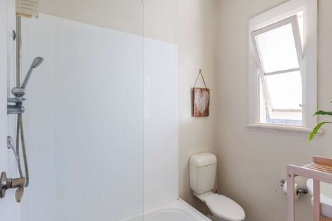 Photo of property in 47a Limbrick Street, Terrace End, Palmerston North, 4410