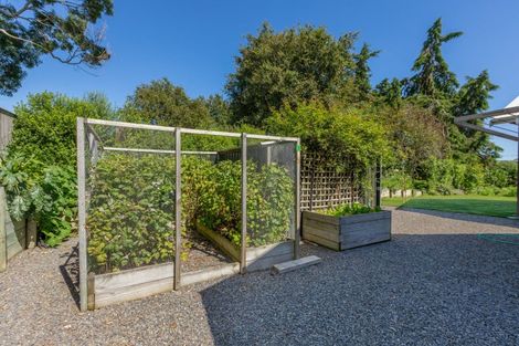 Photo of property in 102 Mount Herbert Road, Waipukurau, 4200