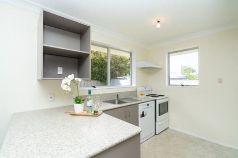 Photo of property in 6b Fernleigh Street, Chartwell, Hamilton, 3210