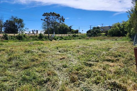 Photo of property in 85 Reynolds Road, Ratana, Wanganui, 4581