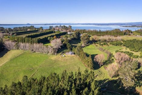 Photo of property in 297 Kauri Point Road, Tahawai, Katikati, 3170