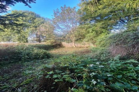 Photo of property in 8 Queen Street, Springfield, 7681