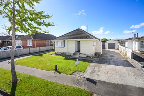 Photo of property in 33 Manchester Street, Takaro, Palmerston North, 4412