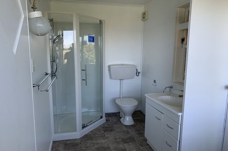 Photo of property in 115 Hornsey Road, Melrose, Wellington, 6023