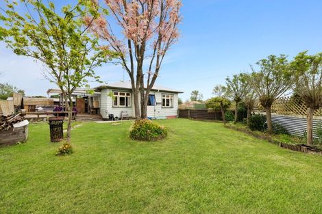 Photo of property in 35 Overdale Street, Putaruru, 3411