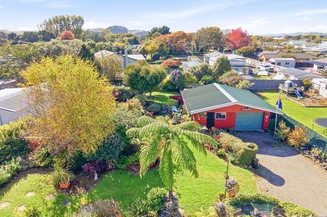 Photo of property in 22 Tararua Street, Pahiatua, 4910