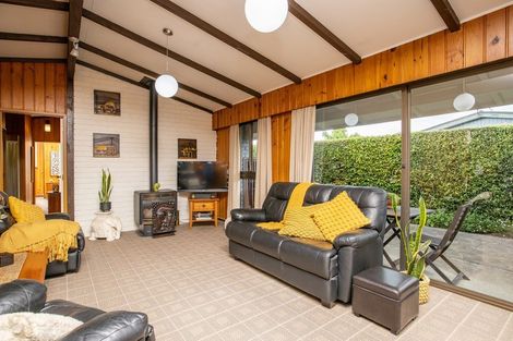 Photo of property in 178a Chapel Street, Masterton, 5810
