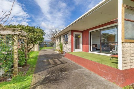 Photo of property in 19 Balmoral Street, Levin, 5510