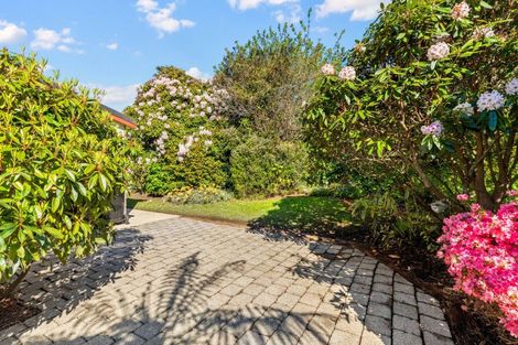 Photo of property in 12c Lynwood Avenue, Maori Hill, Dunedin, 9010