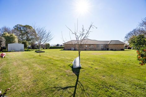 Photo of property in 520 Beechey Street, Pirongia, 3802