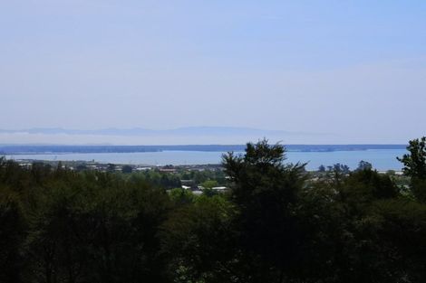 Photo of property in 48 Selbourne Avenue, Richmond, 7020