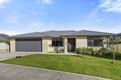 Photo of property in 148 John Burke Drive, Aotea, Porirua, 5024