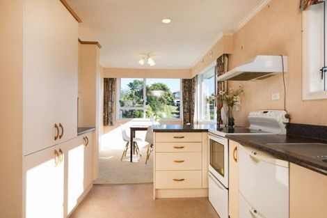 Photo of property in 65 Awanui Street, Merrilands, New Plymouth, 4312