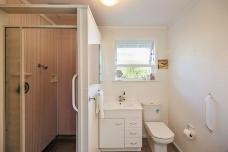 Photo of property in 245 Victoria Avenue, Hokowhitu, Palmerston North, 4410