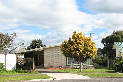 Photo of property in 18 Mount View Place, Waipukurau, 4200
