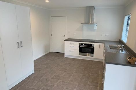 Photo of property in 160u2 Rimu Street, Maeroa, Hamilton, 3200