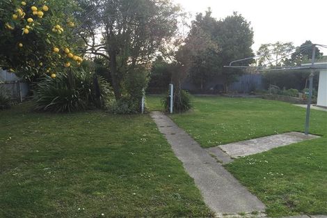 Photo of property in 39 Oldham Avenue, Onekawa, Napier, 4110