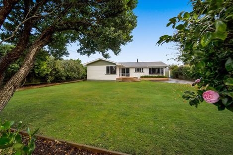 Photo of property in 91 Waihi Road, Hawera, 4610