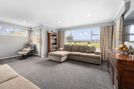 Photo of property in 123 Dittmer Drive, West End, Palmerston North, 4412