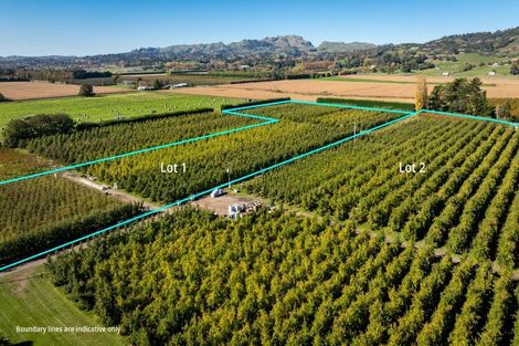 Photo of property in 83 Mount Erin Road, Pukahu, Hastings, 4172