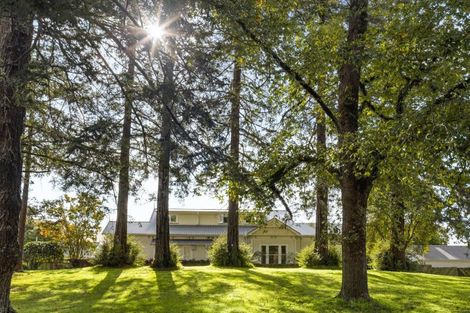 Photo of property in 23 Ruakiwi Road, Hamilton Lake, Hamilton, 3204