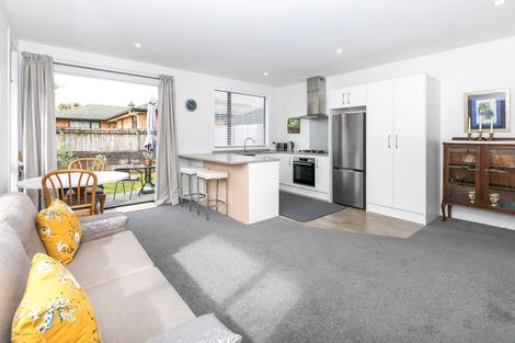 Photo of property in 58u4 Mansel Avenue, Hillcrest, Hamilton, 3216