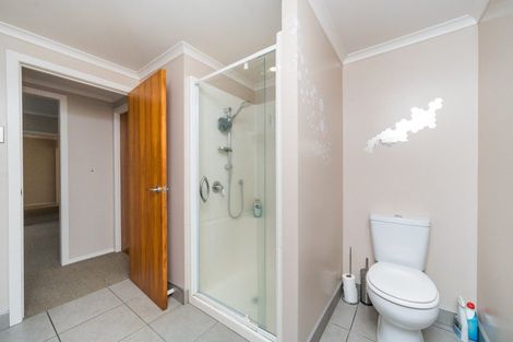 Photo of property in 74 Lincoln Street, Ashhurst, 4810